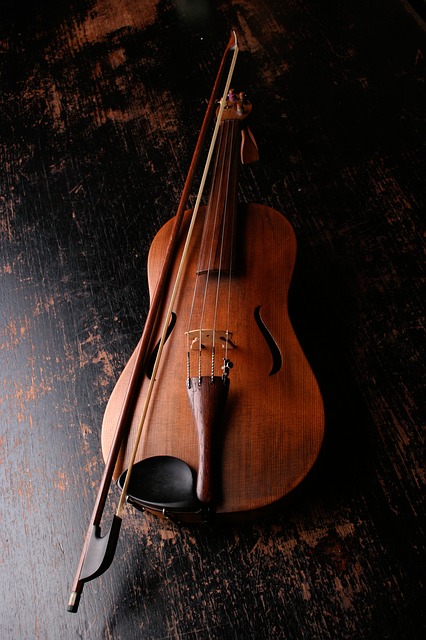 Violin Lessons Auckland - Picture of my first violin